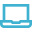 Company laptop